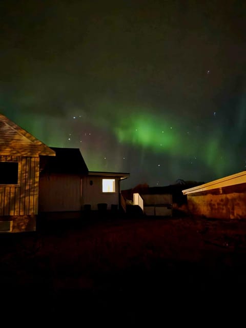 Night, Natural landscape