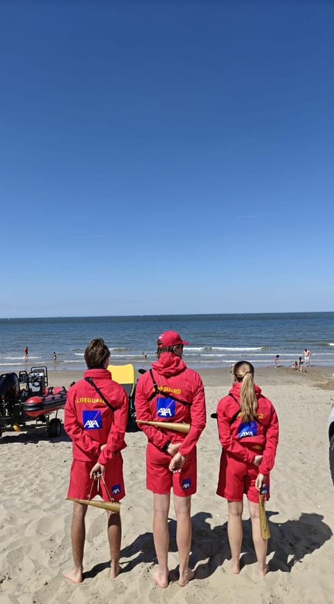 C-side Apartment in Flanders