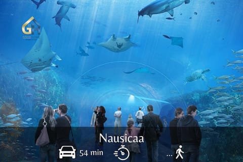 Baroquissime Apartment in Dunkirk