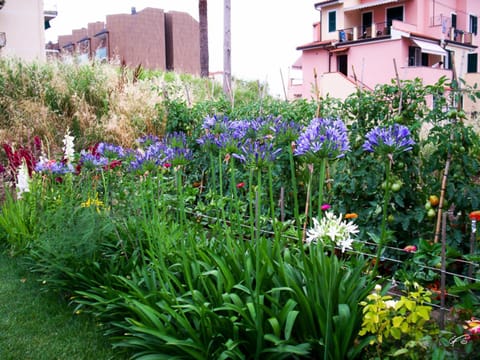 Garden view, Garden view