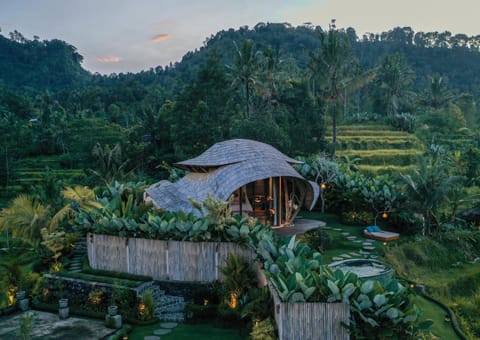 Vishala Retreat Bali Villa in Sidemen