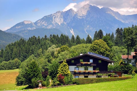Natural landscape, Summer