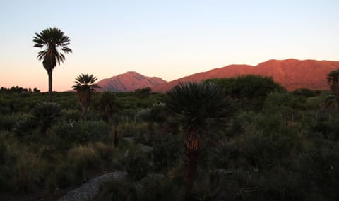 Garden view, Mountain view