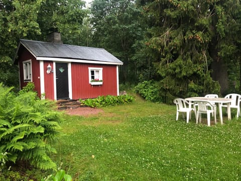 Patio, Garden