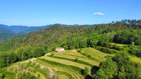 Spring, Day, Natural landscape, Bird's eye view, Mountain view