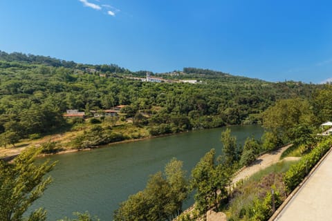 Douro Green Country House in Porto District