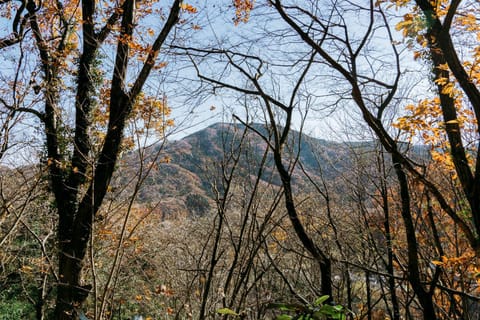 Day, Natural landscape