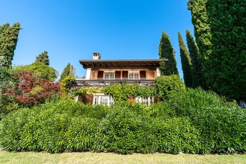Property building, Garden view