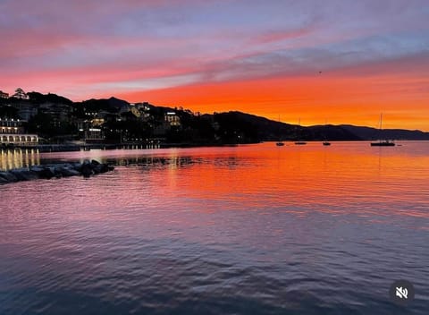 Natural landscape, Sea view, Sunrise