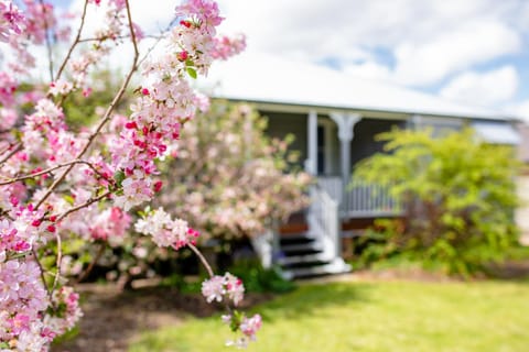 Apple Blossom Cottages House in Stanthorpe