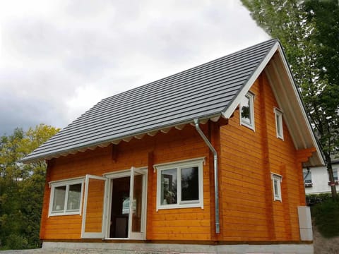 Detached holiday home with sauna House in Medebach