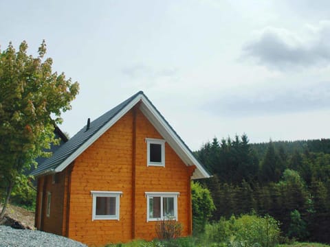Detached holiday home with sauna House in Medebach
