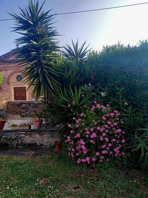 Casa Deanna Apartment in Pietrasanta
