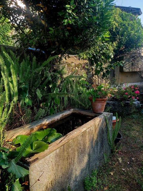 Casa Deanna Apartment in Pietrasanta