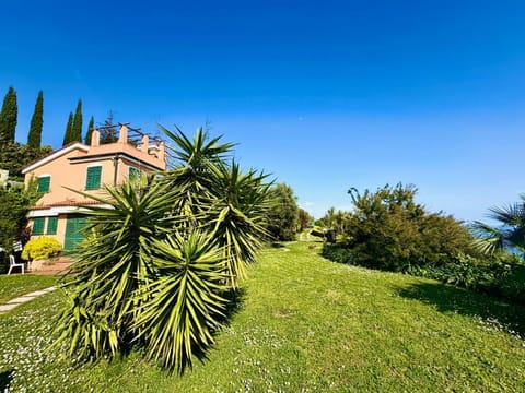 Property building, Garden, Garden view