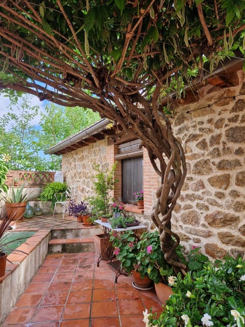 Patio, Garden, Garden view