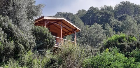 Casa Roja Urlaubsunterkunft in Muğla Province