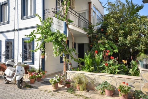 Property building, Spring, Day, Garden, Garden view