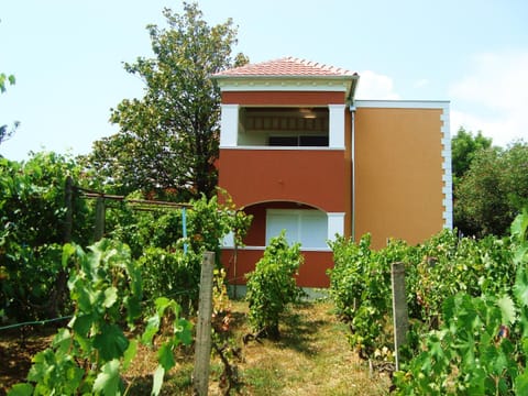 Apartments Rolovina Condo in Kotor Municipality