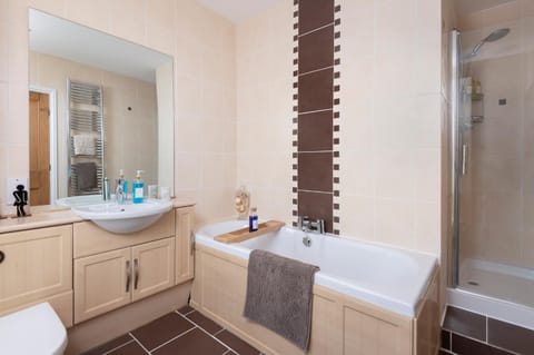 Shower, Toilet, Bathroom, Bath, towels