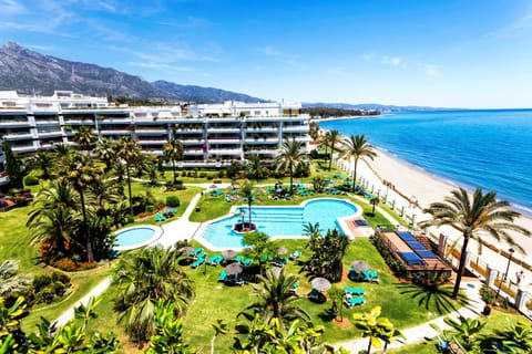 Property building, Beach, Swimming pool