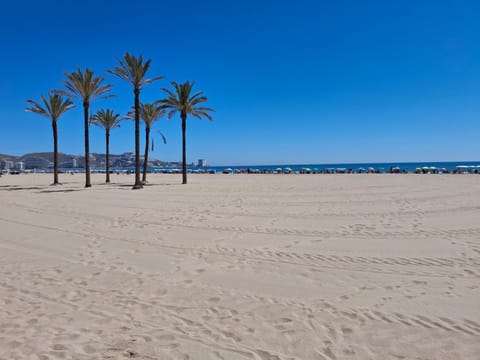 Natural landscape, Sea view