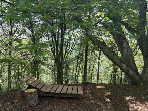 Le refuge d'Yzeron, gite autonome en pleine forêt pour 8 personnes Chalet in Auvergne-Rhône-Alpes