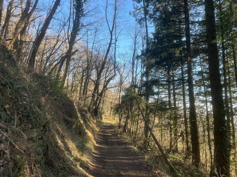 Le refuge d'Yzeron, gite autonome en pleine forêt pour 8 personnes Chalet in Auvergne-Rhône-Alpes