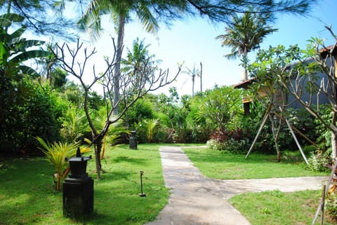 Day, Summer, Garden, On site, Garden view
