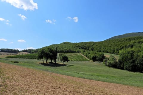 Agriturismo Colle Casini Cortesi Chambre d’hôte in Umbria