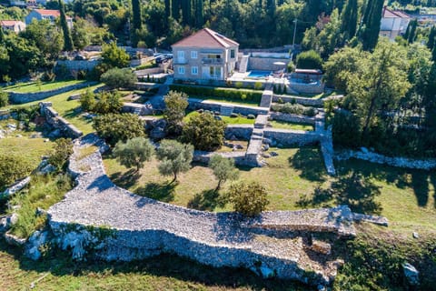 Bird's eye view, Garden