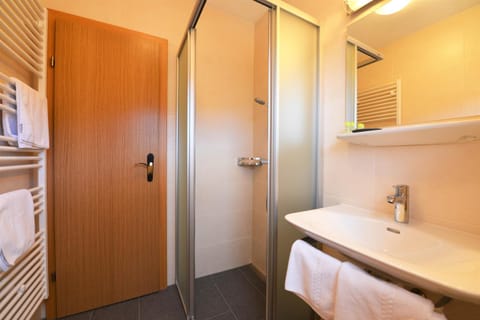 Shower, Bathroom, Photo of the whole room, Decorative detail