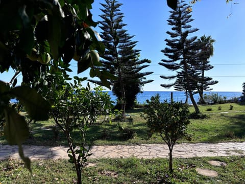 Garden, Garden view, Sea view