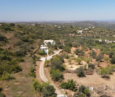 Property building, Bird's eye view