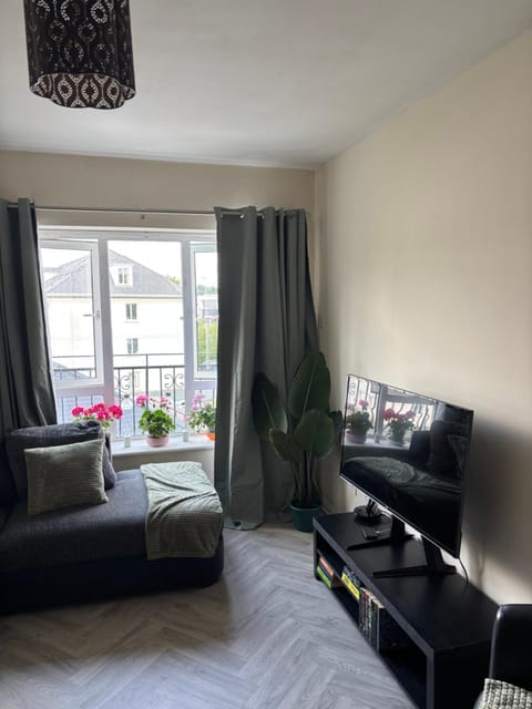 Warm and spacious 1 bed apartment Apartment in Letterkenny