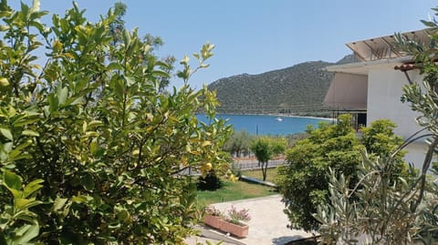 Garden, View (from property/room), Sea view