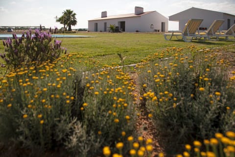 Property building, Garden view