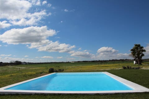 Day, Pool view, Swimming pool