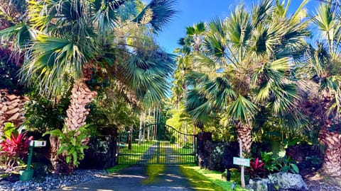 Day, Natural landscape, Garden, Garden view