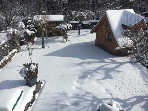 Winter, Garden