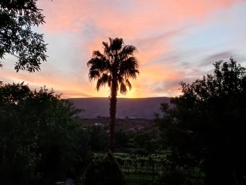 Garden, Mountain view, Sunset