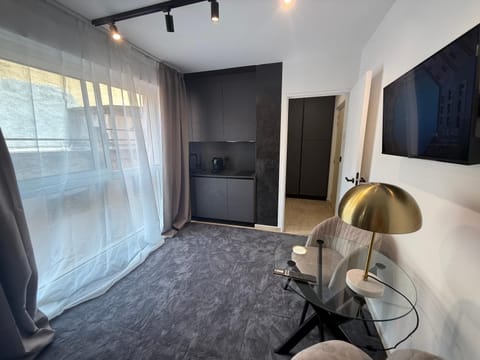 Monaco 1 Apartment in Monaco