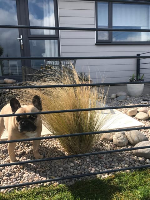 Ocean Drive Boutique Apartment continental Breakfast & Tray Apartment in Brean