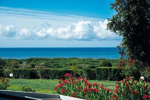 Nearby landmark, Day, Garden, Sea view