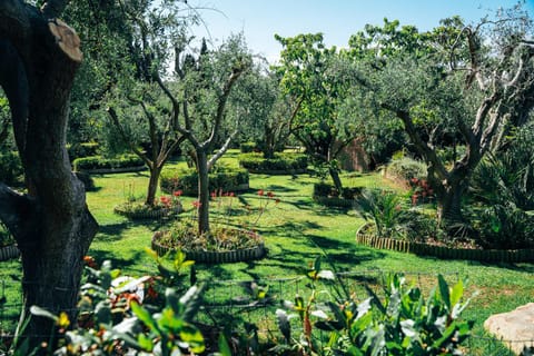 Day, Natural landscape, Garden, Garden view