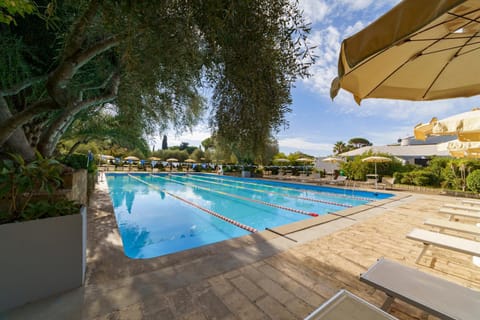 Activities, Pool view, Swimming pool