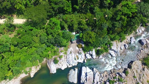 Natural landscape, River view