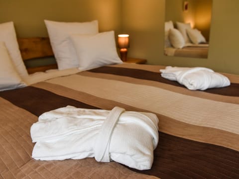 SPA Apartment Parkowy Apartment in Pomeranian Voivodeship