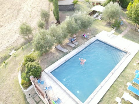 Spring, Day, group of guests