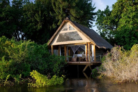 Sindabezi Island Camp Tente de luxe in Zimbabwe